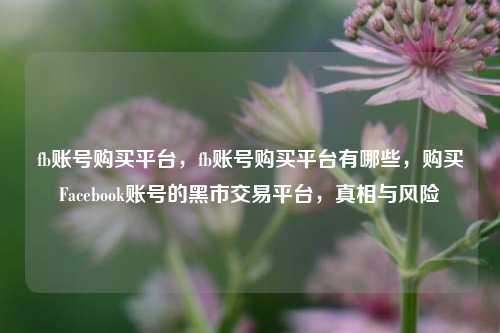 fb账号购买平台	，fb账号购买平台有哪些，购买Facebook账号的黑市交易平台，真相与风险  第1张