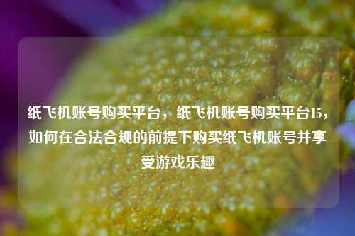 纸飞机账号购买平台，纸飞机账号购买平台15，如何在合法合规的前提下购买纸飞机账号并享受游戏乐趣