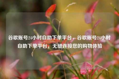 谷歌账号24小时自助下单平台，谷歌账号24小时自助下单平台，无缝连接您的购物体验