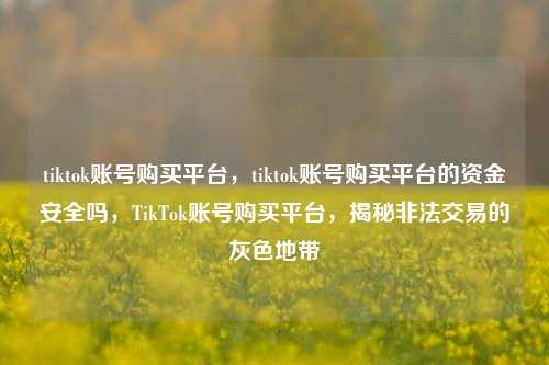 tiktok账号购买平台，tiktok账号购买平台的资金安全吗，TikTok账号购买平台，揭秘非法交易的灰色地带