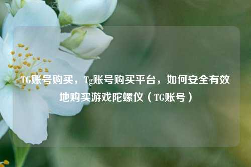 TG账号购买，Tg账号购买平台，如何安全有效地购买游戏陀螺仪（TG账号）