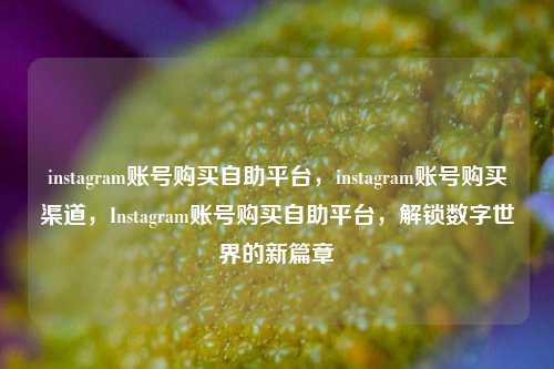 instagram账号购买自助平台，instagram账号购买渠道，Instagram账号购买自助平台，解锁数字世界的新篇章