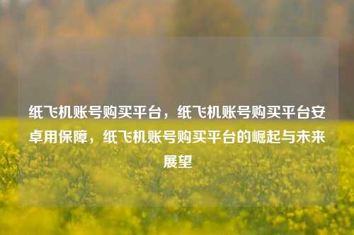 纸飞机账号购买平台，纸飞机账号购买平台安卓用保障，纸飞机账号购买平台的崛起与未来展望