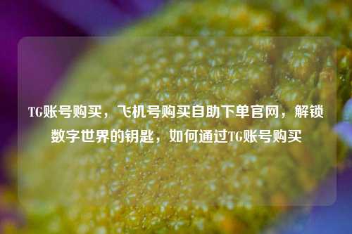 TG账号购买，飞机号购买自助下单官网，解锁数字世界的钥匙，如何通过TG账号购买