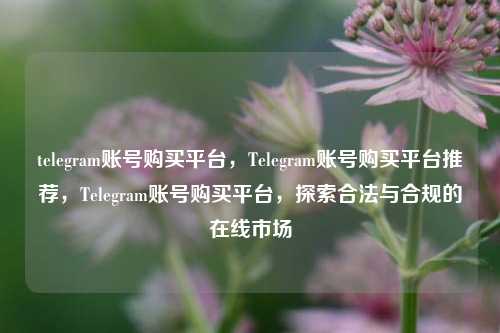 telegram账号购买平台，Telegram账号购买平台推荐，Telegram账号购买平台，探索合法与合规的在线市场