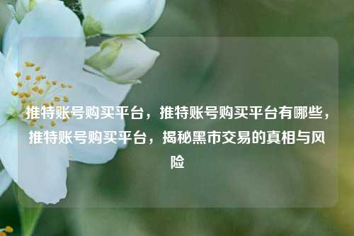 推特账号购买平台，推特账号购买平台有哪些，推特账号购买平台，揭秘黑市交易的真相与风险