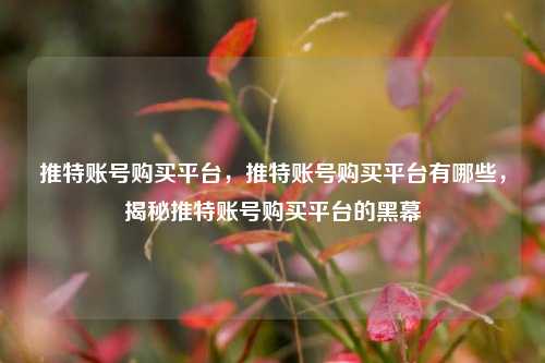 推特账号购买平台，推特账号购买平台有哪些，揭秘推特账号购买平台的黑幕